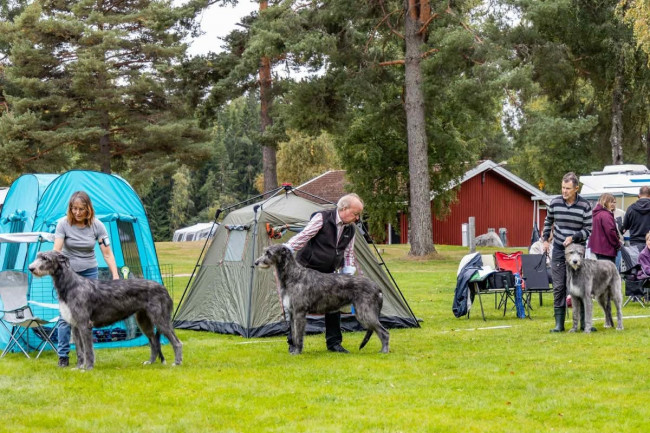 Sifferbo 2025 🇸🇪
