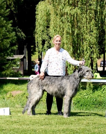 Sighthound Speciality Show Konopiště 25.5.2019 James Hood Vlčí píseň - Ex.1, CAC and Holy Vlčí píseň - Ex.1, CAC, Special show winner, BOS