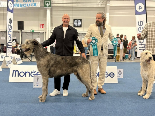 🇧🇪 Sint-Romboutstrofee (St Rombouts Cup/Trophy)