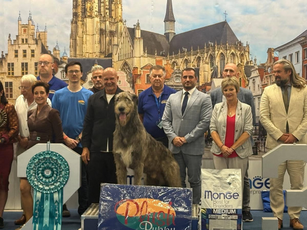 🇧🇪 Sint-Romboutstrofee (St Rombouts Cup/Trophy)