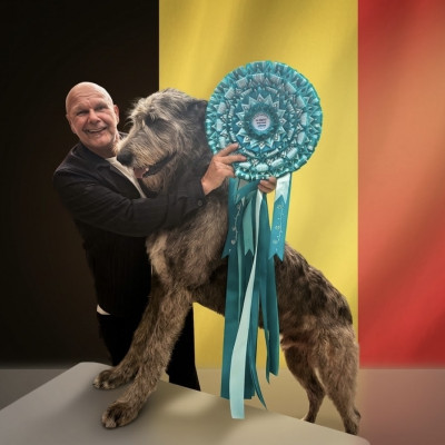 🇧🇪 Sint-Romboutstrofee (St Rombouts Cup/Trophy)