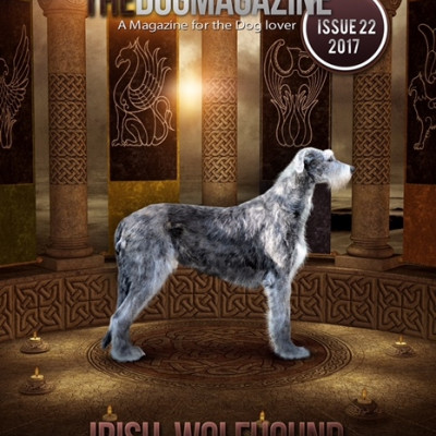 The Dog Magazine UK - ISSUE 22 2017 Irish Wolfhound