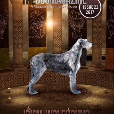 The Dog Magazine UK - ISSUE 22 2017 Irish Wolfhound - Cover Will Scarlet dei Mangialupi