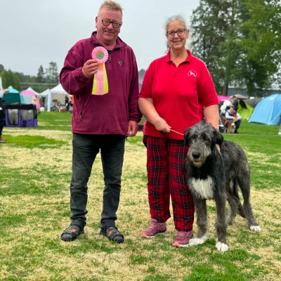 Vännäs Nordic Dog Show - Svezia  🇸🇪