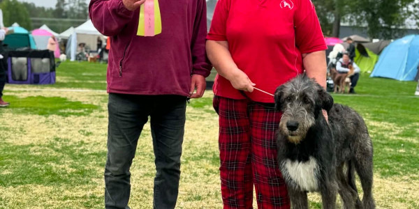 Vännäs Nordic Dog Show - Svezia  🇸🇪