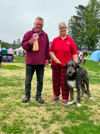 Vännäs Nordic Dog Show - Svezia  🇸🇪