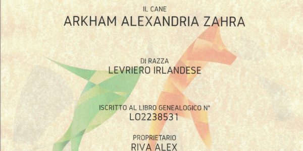wolfhounds - Arkham Alexandria Zahara became ITALIAN CHAMPION