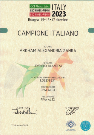 wolfhounds - Arkham Alexandria Zahara became ITALIAN CHAMPION