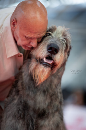 WORLD DOG SHOW 2026 GALLERY