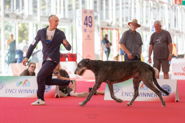 WORLD DOG SHOW 2026 GALLERY